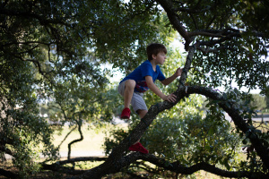 child climbing tree